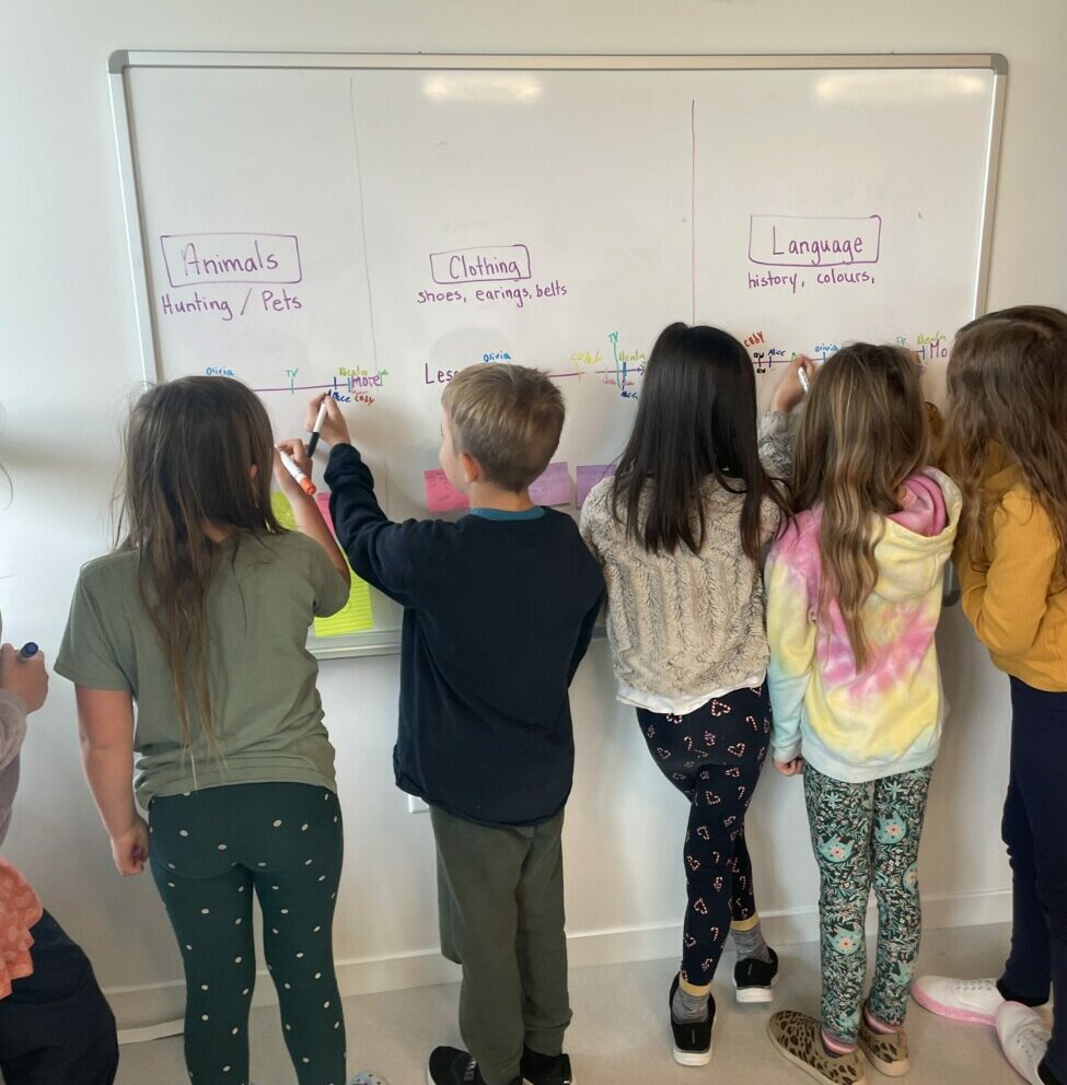 Student's drawing on whiteboard