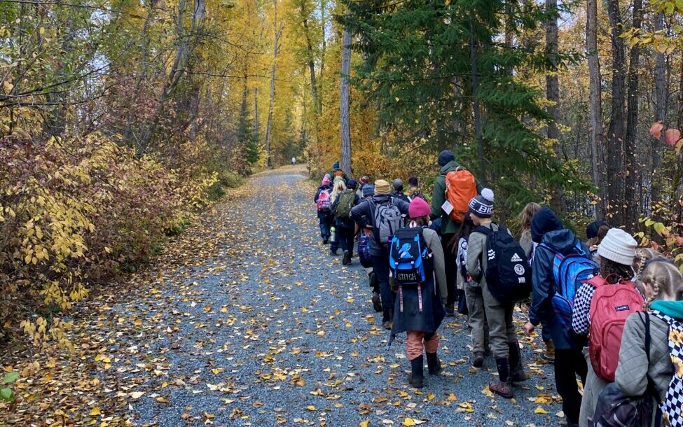 students walking on trail in forest