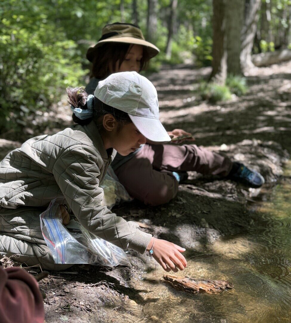 student looking into water in forest